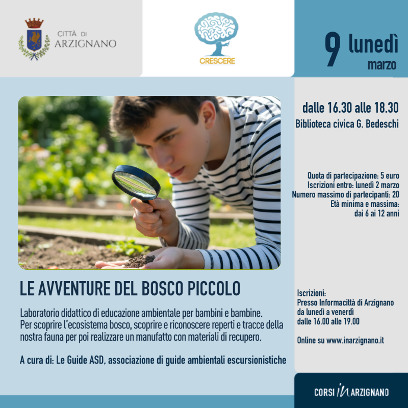 le avventure del bosco piccolo
