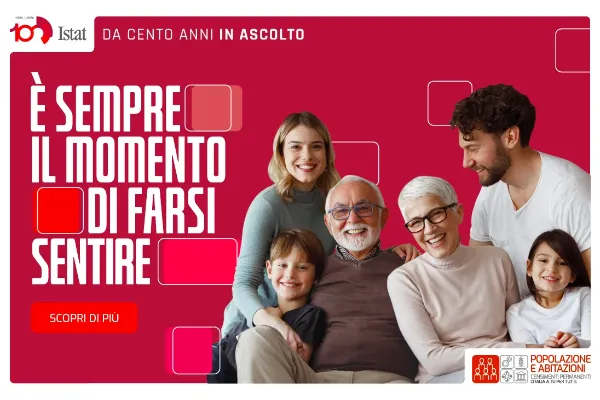 immagine censimento