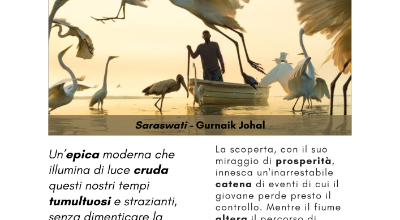 MemoLibri 1105